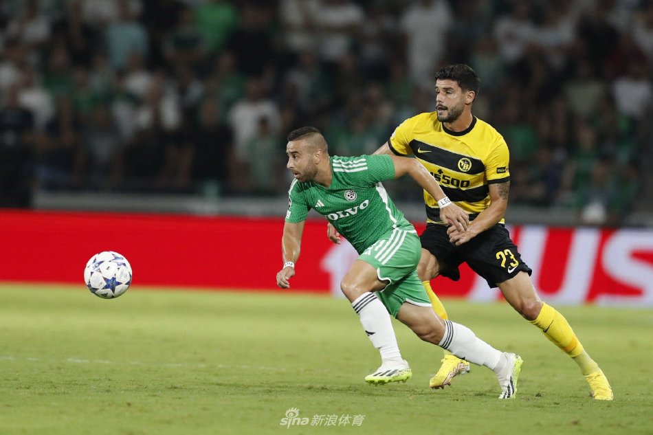 项目设置极 项目设置极